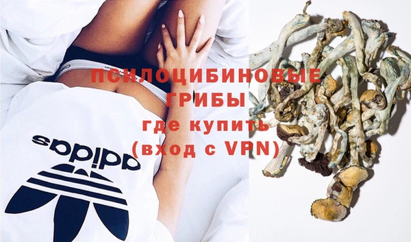 a pvp Алексин
