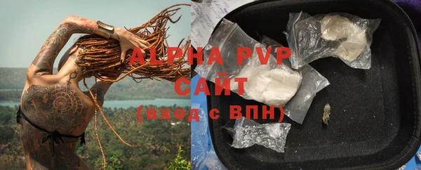 молекула духа Алексеевка