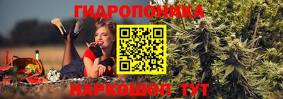 СК Братск