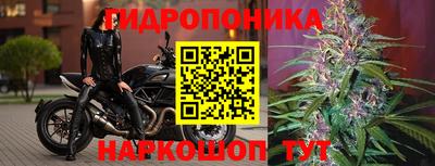 не бодяженный Боровичи