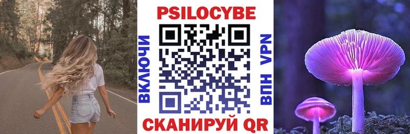 как найти закладки  omg вход  Псилоцибиновые грибы мицелий  Северодвинск 