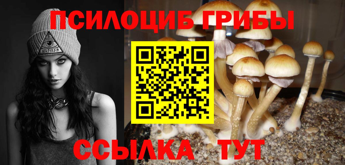 Северодвинск  где найти   Вход с VPN  Псилоцибиновые грибы MAGIC MUSHROOMS 