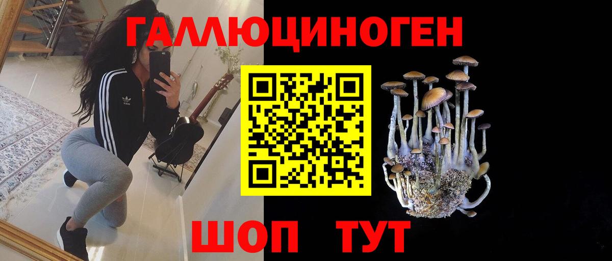 Галлюциногенные грибы GOLDEN TEACHER Северодвинск